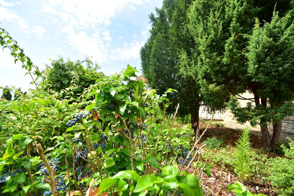 Ferienwohnung Hannweber Dettelbach Esterno foto